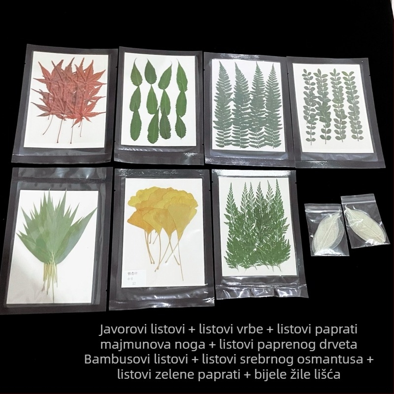 Dekoracije za bar koktele: javorovi listovi, listovi bambusa, listovi pepperwood i uzorci vena listova