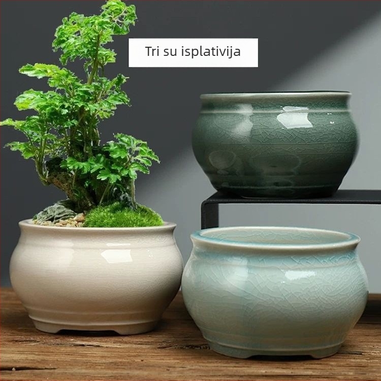 Keramička okrugla posuda za Phalaenopsis, bonsai i sukulente