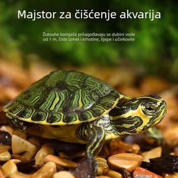 Čistač akvarija za žuto-ušnu kornjaču, uklanjanje algi i otpada, hladna voda, živa kornjača