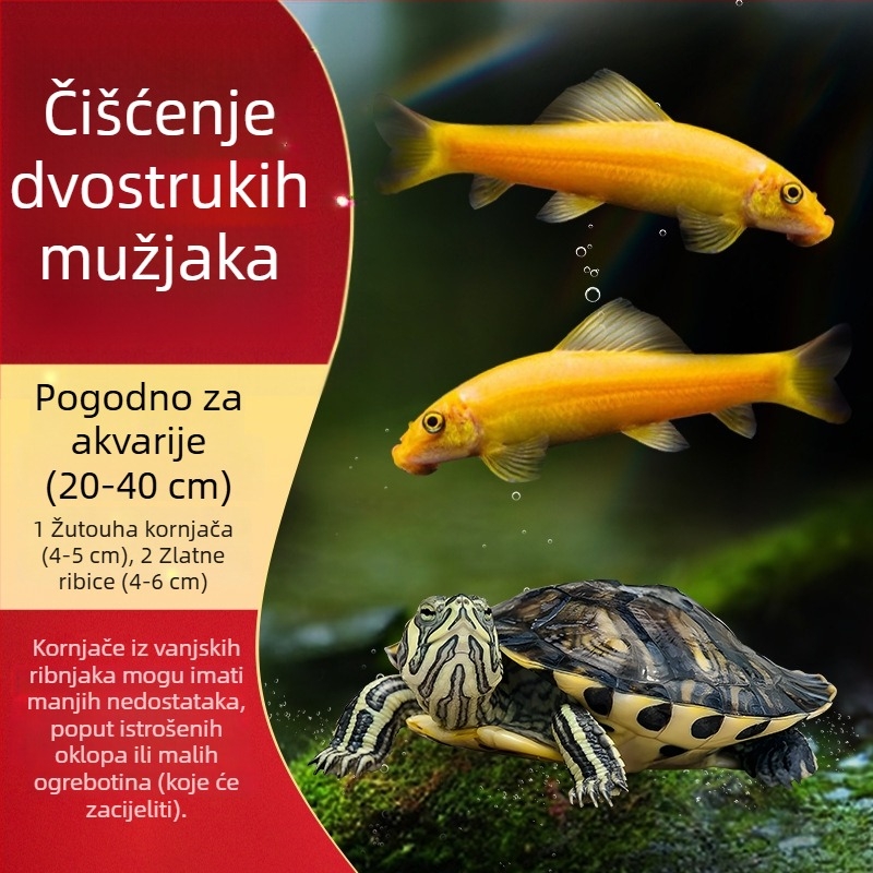 Čistač akvarija za žuto-ušnu kornjaču, uklanjanje algi i otpada, hladna voda, živa kornjača