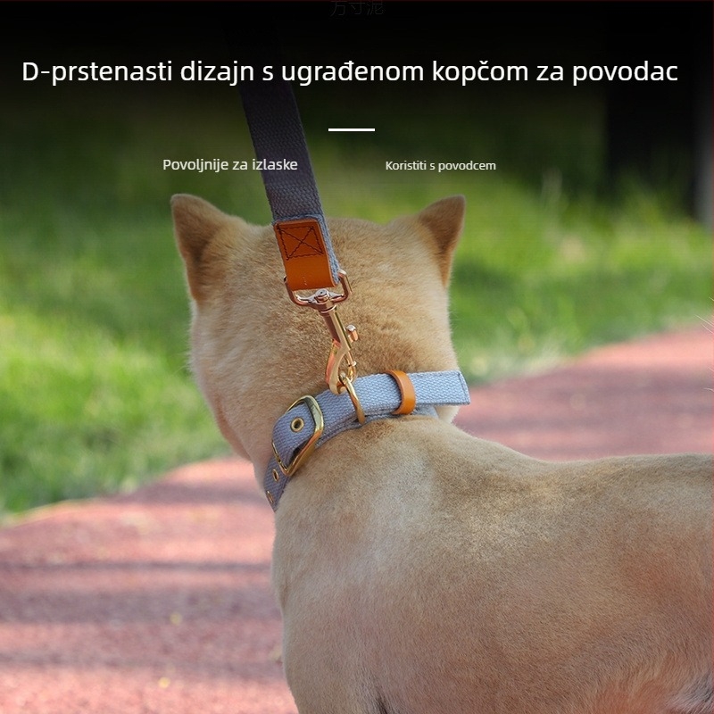 Ovratnik za srednje i velike pse s oznakom identifikacije, uzicom i corgi-stilom