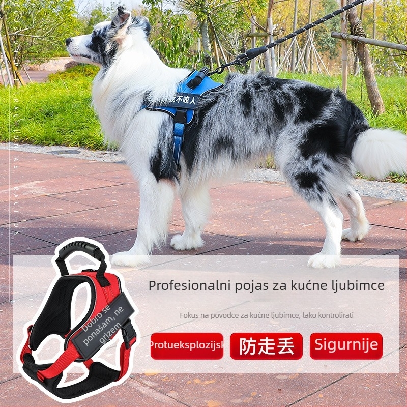 Ažurirani K9 prsni harn s vodilom za pse – udobne šetnje