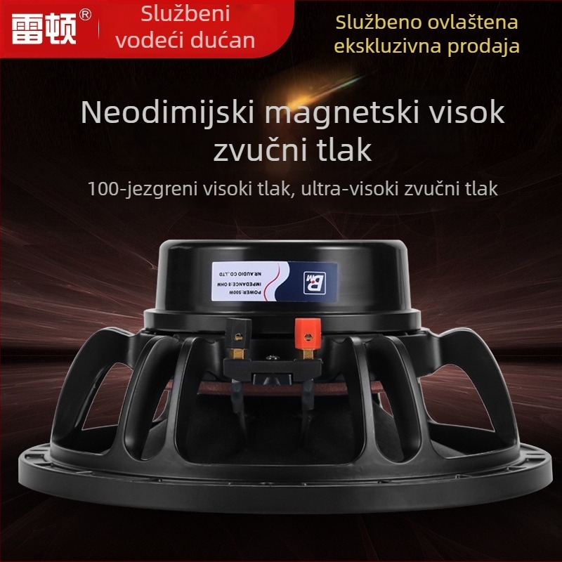 Line-array bas zvučnik s neodimskim magnetom, 10/12/15 inča, 500 W za pozornicu