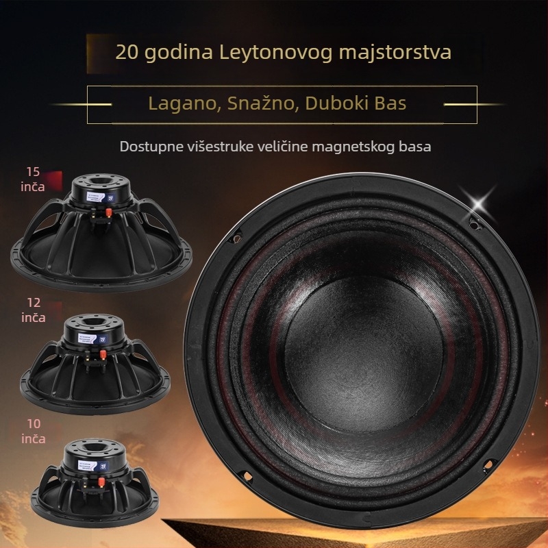 Line-array bas zvučnik s neodimskim magnetom, 10/12/15 inča, 500 W za pozornicu