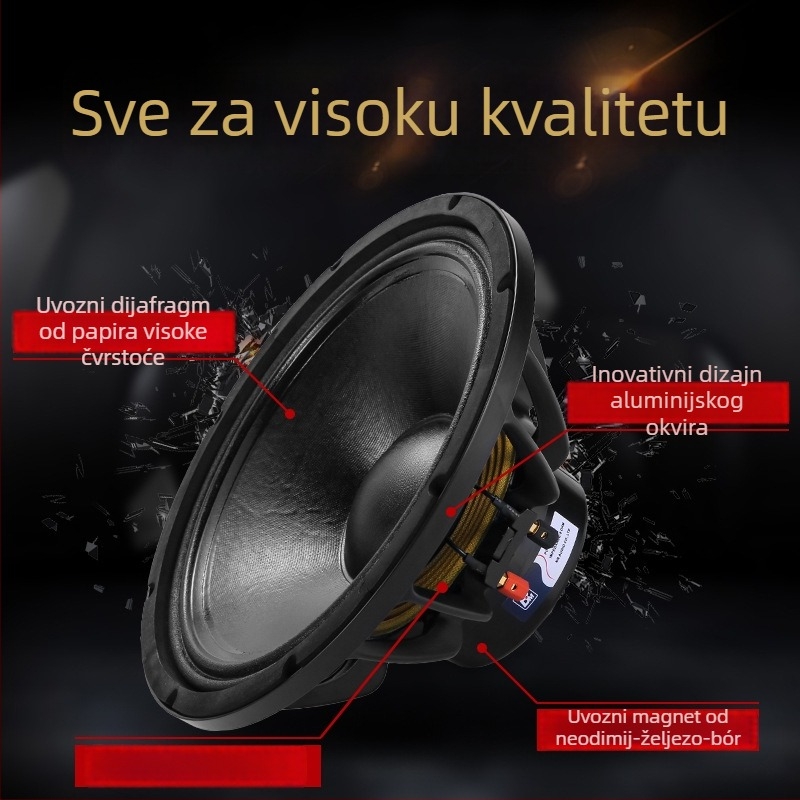 Line-array bas zvučnik s neodimskim magnetom, 10/12/15 inča, 500 W za pozornicu