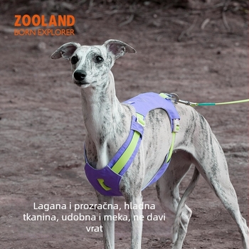 ZOOLAND prsni pojas za pse i uzica, za male i velike pse