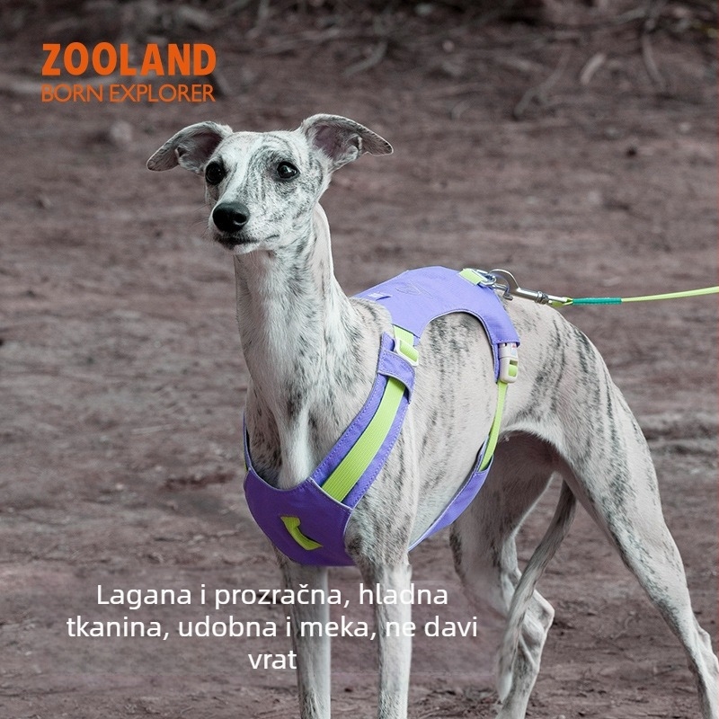 ZOOLAND prsni pojas za pse i uzica, za male i velike pse