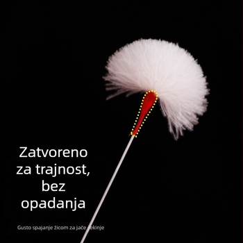 Profesionalni set alata za čišćenje uha s gusjim perjem, alat za čišćenje uha, žlica za uho, srebrna igla, uređaj s gusjim perjem
