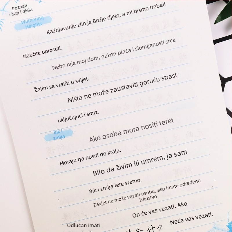 Ink Dot priručnik za kaligrafiju s pravilnim pismom, Xingkai stil, Tang poezija i Song poezija, poznate citate i klasačna djela, za srednju i visoku školu