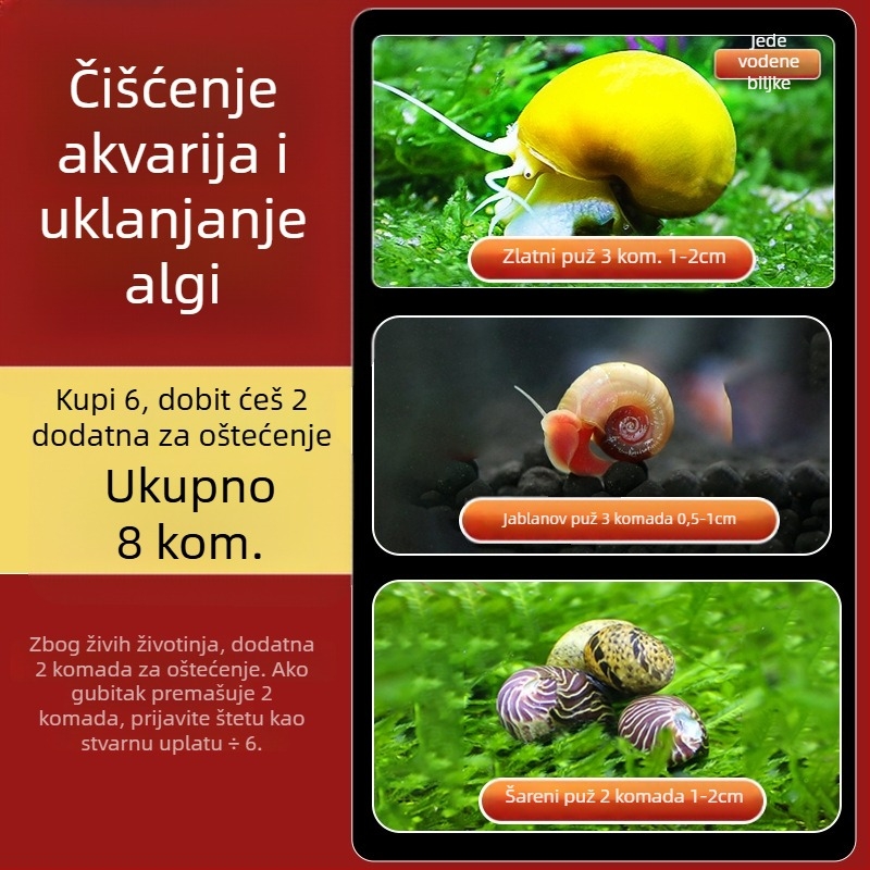 Slatkovodni jabukasti puž za akvarij — alat za uklanjanje algi i čišćenje spremnika, puževi koji jedu alge (mali i veliki)