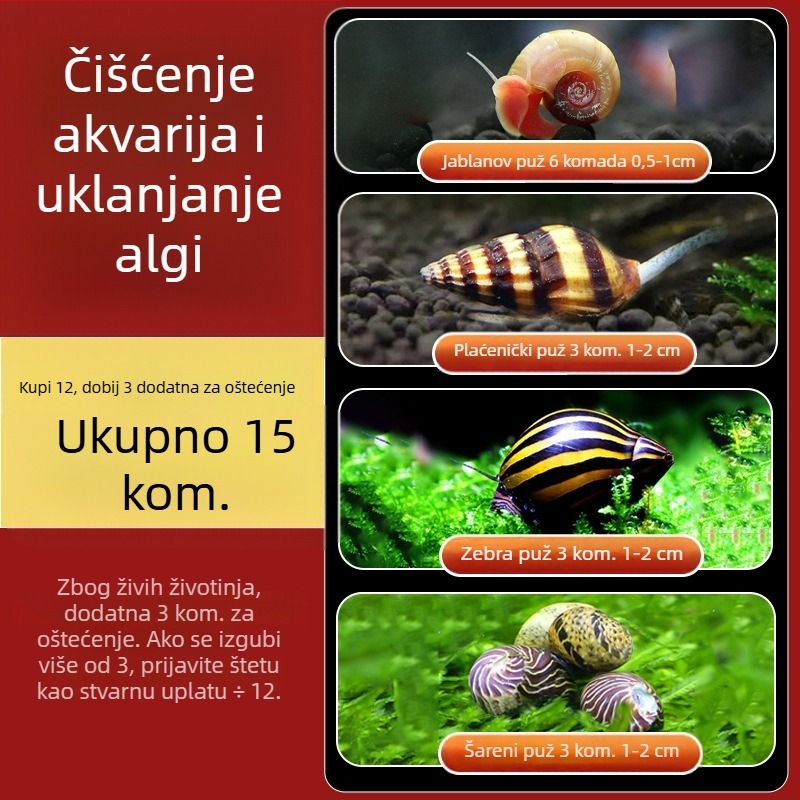 Slatkovodni jabukasti puž za akvarij — alat za uklanjanje algi i čišćenje spremnika, puževi koji jedu alge (mali i veliki)