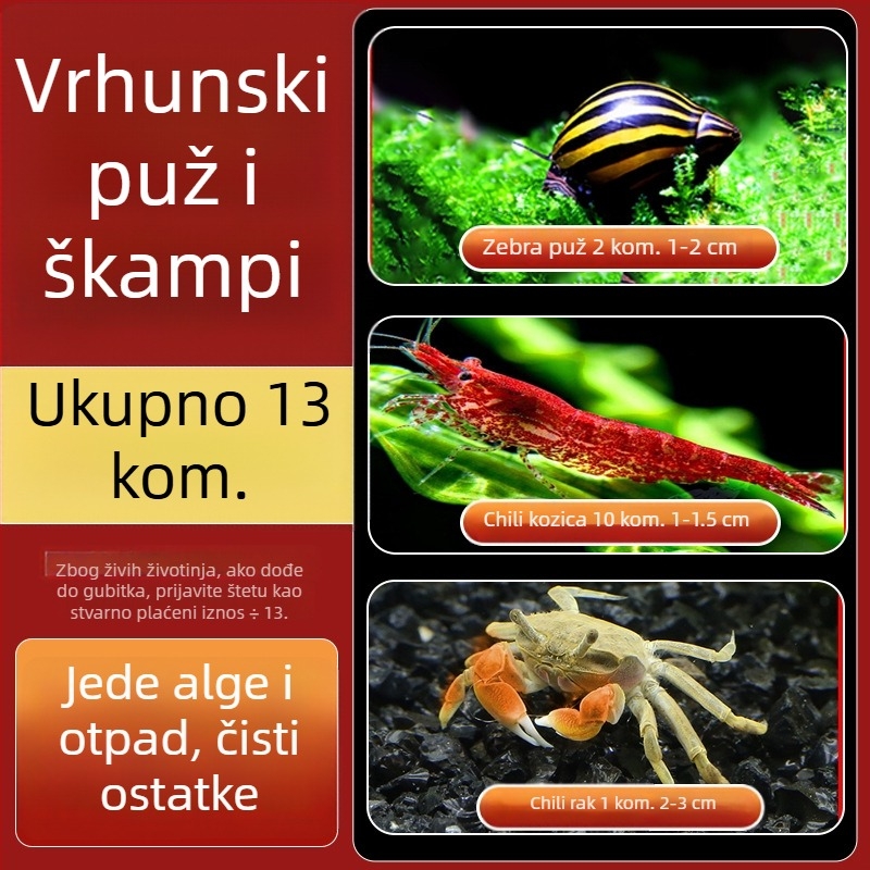 Slatkovodni jabukasti puž za akvarij — alat za uklanjanje algi i čišćenje spremnika, puževi koji jedu alge (mali i veliki)