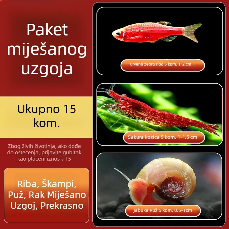 Slatkovodni jabukasti puž za akvarij — alat za uklanjanje algi i čišćenje spremnika, puževi koji jedu alge (mali i veliki)