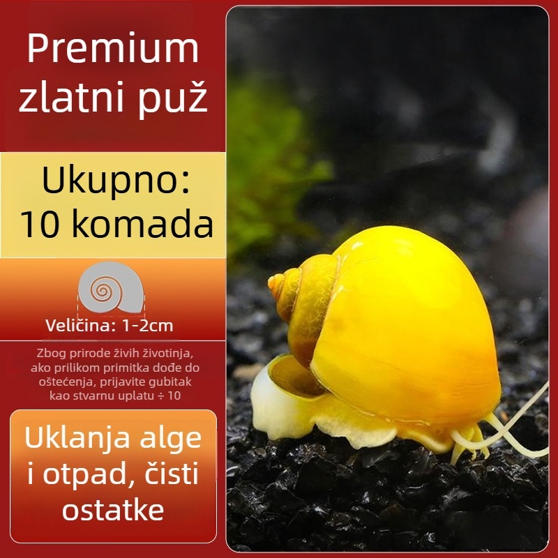 Slatkovodni jabukasti puž za akvarij — alat za uklanjanje algi i čišćenje spremnika, puževi koji jedu alge (mali i veliki)