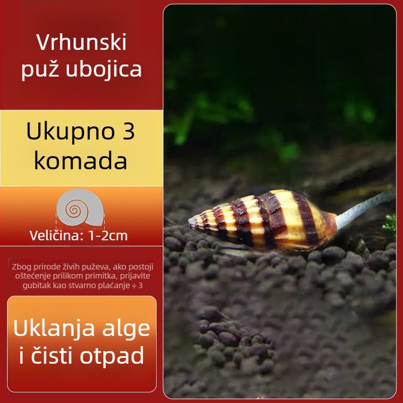 Slatkovodni jabukasti puž za akvarij — alat za uklanjanje algi i čišćenje spremnika, puževi koji jedu alge (mali i veliki)