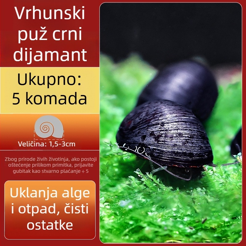Slatkovodni jabukasti puž za akvarij — alat za uklanjanje algi i čišćenje spremnika, puževi koji jedu alge (mali i veliki)