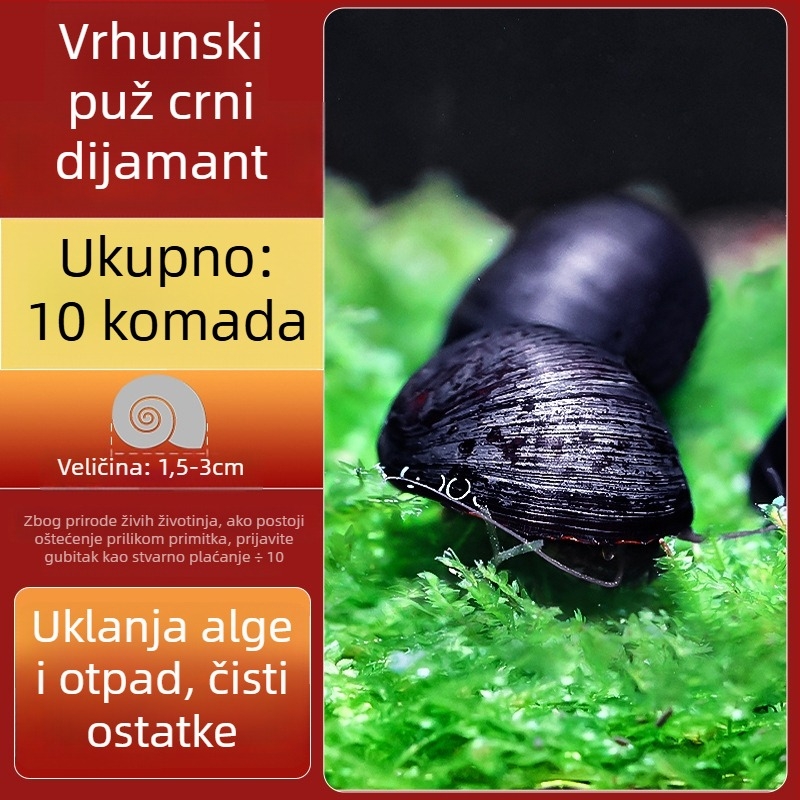 Slatkovodni jabukasti puž za akvarij — alat za uklanjanje algi i čišćenje spremnika, puževi koji jedu alge (mali i veliki)