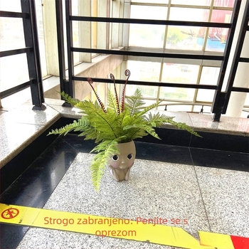 Umjetne paprati u snopovima: dvostruko složene paprati, paprat konjska rep, perzijska paprat i feniks paprat za pejzažne aranžmane i cvjetnu dekoraciju
