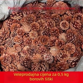 Borova šišarka za božićnu dekoraciju i rekvizite za fotografiranje u vrtiću