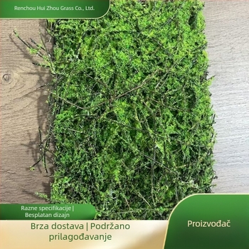 Umjetna trava za reptile i egzotične kućne ljubimce, dekoracije za terarij i kutiju za uzgoj, umjetne biljke s antibakterijskim učinkom