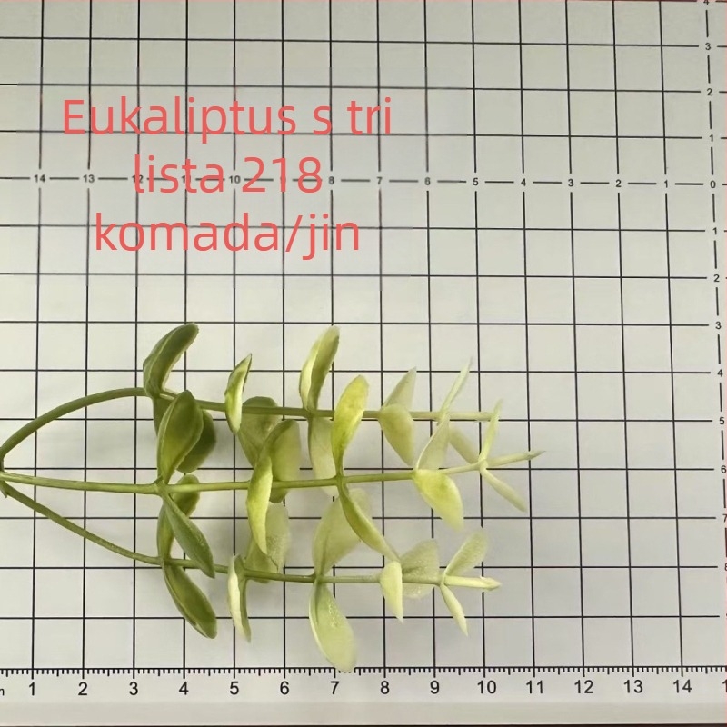 Umjetna loza s cvjetovima gypsophile, eukaliptusom i vodenom travom – plastična dekoracija