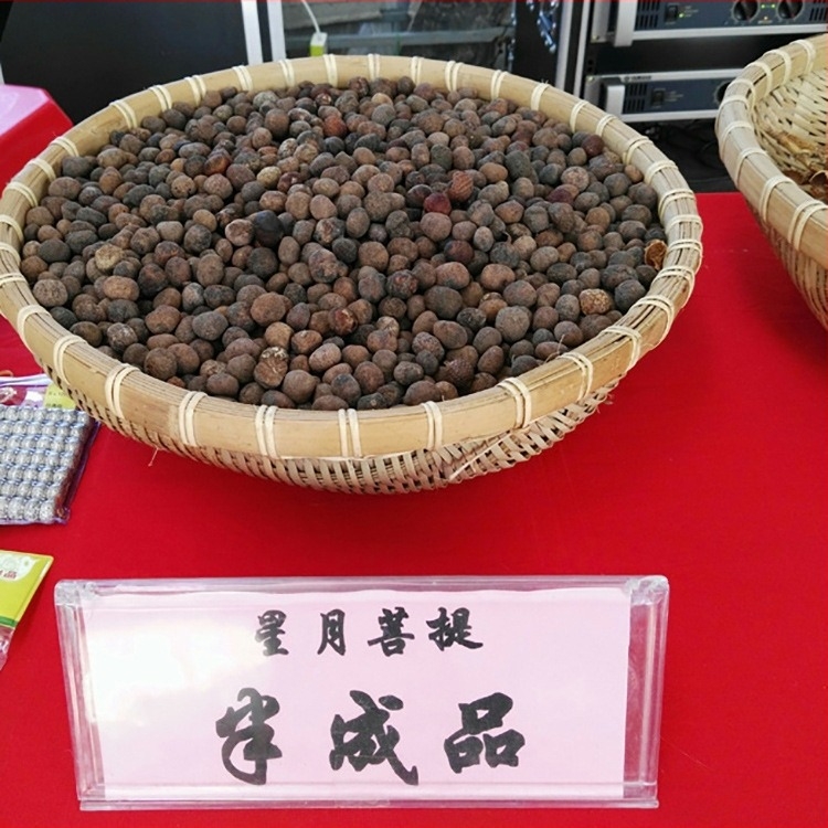 Xingyue Bodhi perle – 108 zlatnožutih Bodhi kuglica, visoka gustoća, Zen meditacija
