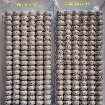 Xingyue Bodhi perle, 108 kom, visoka gustoća, bijela, suho poliranje