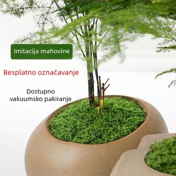 Umjetna mahovina i sintetička trava za mini pejzaž u posudi