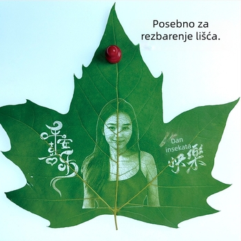 Wutong listovi za lasersko graviranje i rezbarenje na listovima – sušeno pravo lišće, ručni materijal za umjetnost