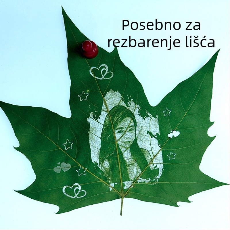 Wutong listovi za lasersko graviranje i rezbarenje na listovima – sušeno pravo lišće, ručni materijal za umjetnost