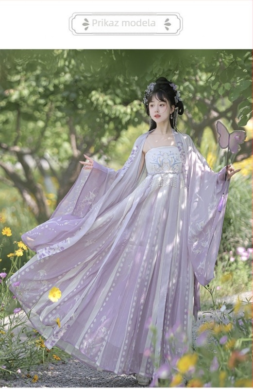 Hanfu set za žene s ljubičastom glicinijom i vyšivanjem, svakodnevni Tang stil, Hezi suknja i široki rukavi, drevni kostim