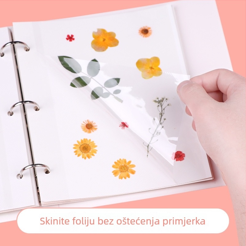 Zbirka botanijskih uzoraka: sušeni listovi i cvijeće, laminirani DIY samoljepljivi album za pohranu