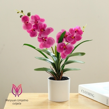 Phalaenopsis bonsai s umjetnim svilenim cvjetovima za unutarnju dekoraciju