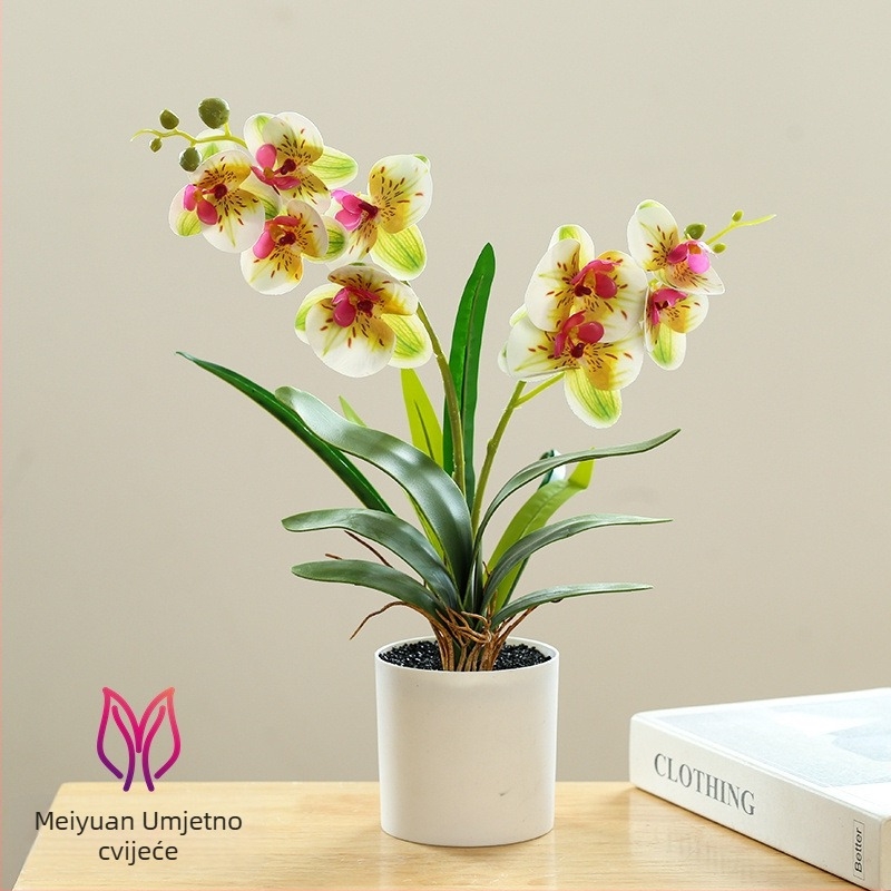 Phalaenopsis bonsai s umjetnim svilenim cvjetovima za unutarnju dekoraciju