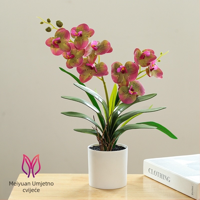 Phalaenopsis bonsai s umjetnim svilenim cvjetovima za unutarnju dekoraciju
