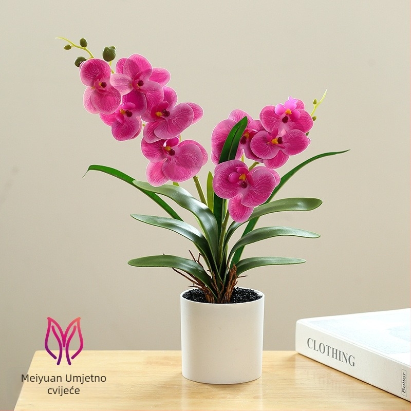 Phalaenopsis bonsai s umjetnim svilenim cvjetovima za unutarnju dekoraciju
