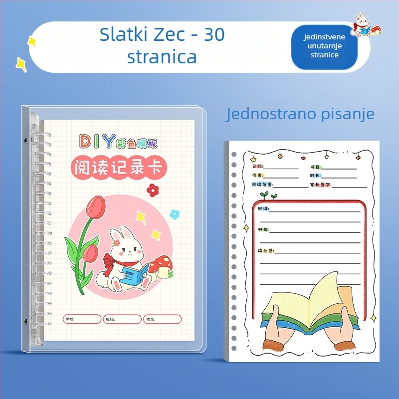 Zapisnik za čitanje za učenike osnovne škole — odabiri dobrih riječi i rečenica, dnevnik čitanja izvan škole
