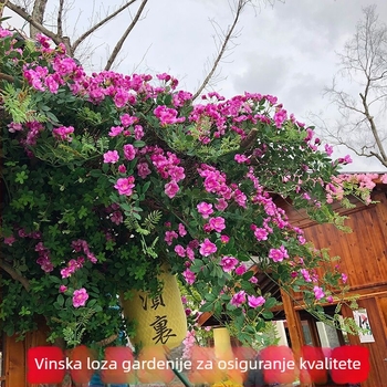 Vještačke loze ruža i gardenije za dekoraciju zidova i omatanje klima uređaja, plastično cvijeće