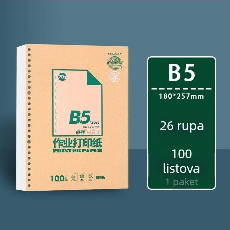 DaoLen A4 papir za zadatke, B5 skic listovi, prazan debeli kopir papir, pogodan za povezivanje u bilježnicu