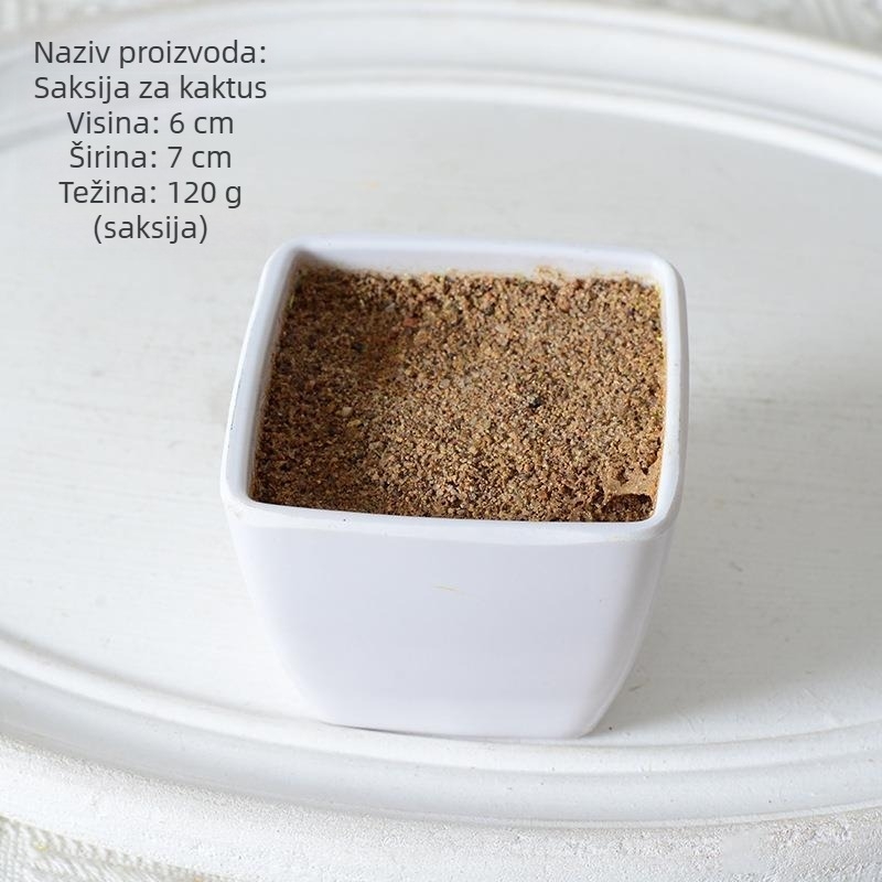 Mini umjetni sukulentni kaktus bonsai u posudi