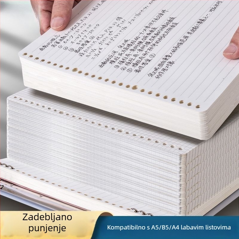 B5 bilježnica s uklonjivim listovima i zamjenjivim umetcima, A4 bilježnica s gridom, debela, za školu i ured
