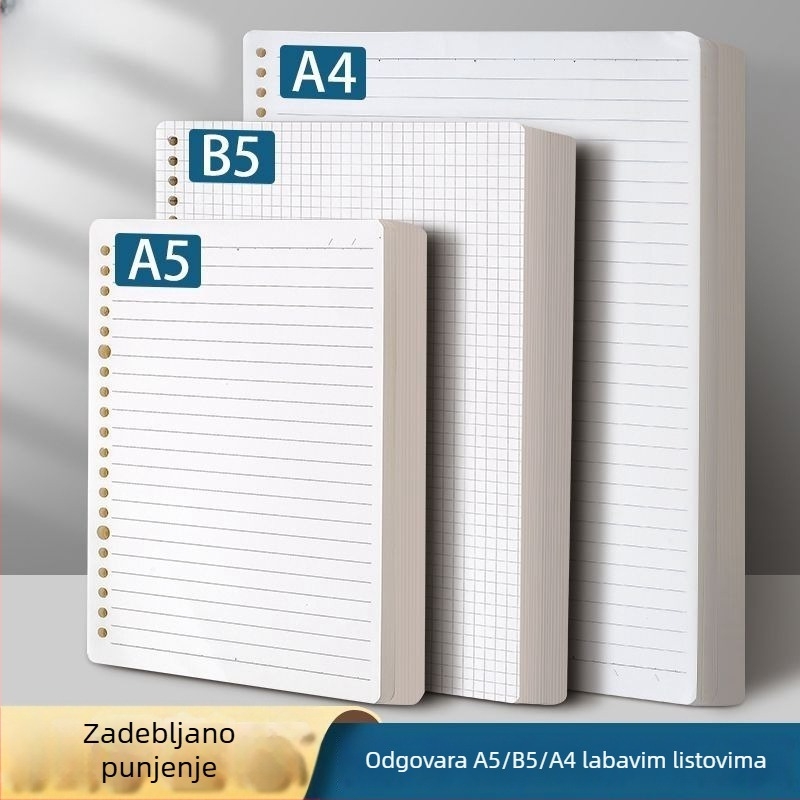 B5 bilježnica s uklonjivim listovima i zamjenjivim umetcima, A4 bilježnica s gridom, debela, za školu i ured