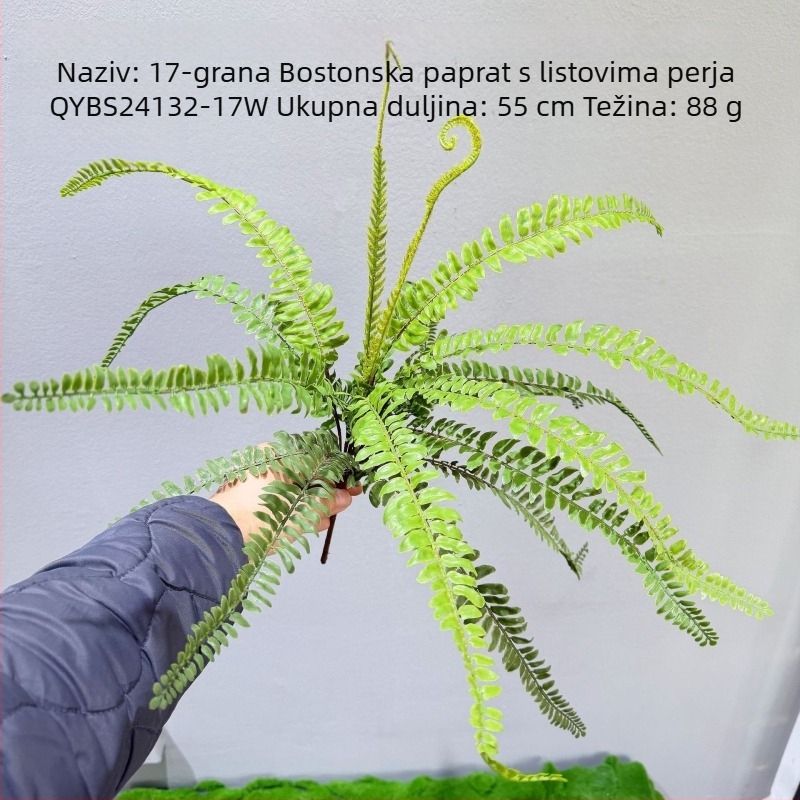 Umjetne paprati i bilje za ukrasne kompozicije — kidney fern, Persian fern, ružmarin i asparagus fern