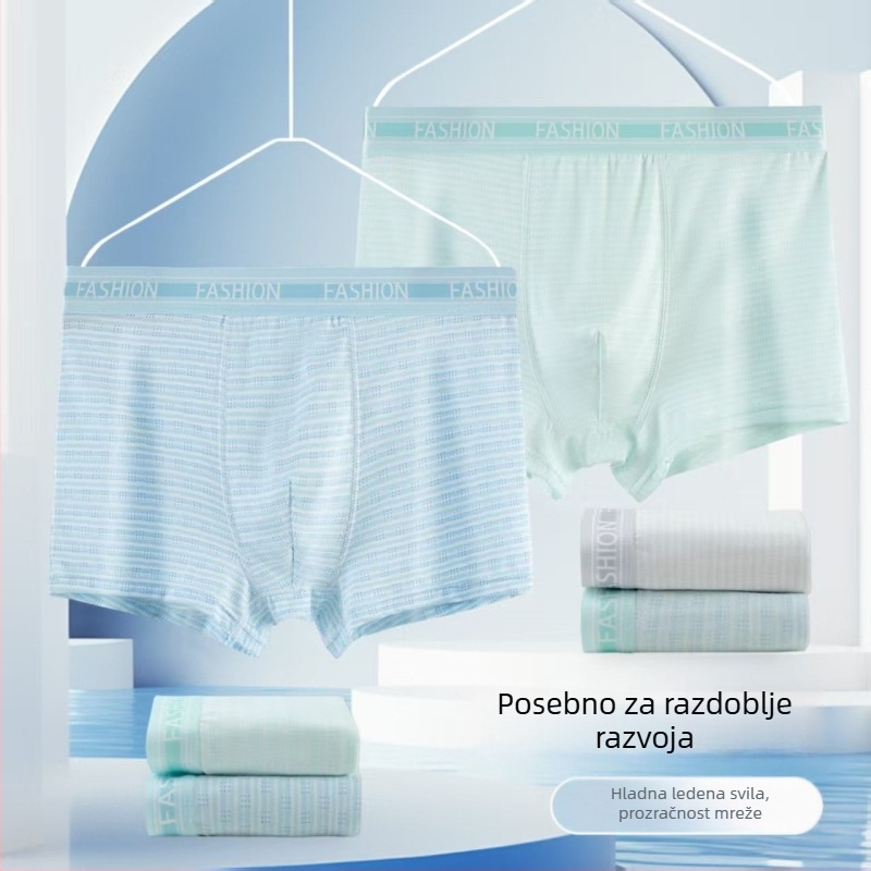 Prilagođene boxerice za tinejdžere, proljeće-ljeto, modalno prozračne mrežaste boxerice