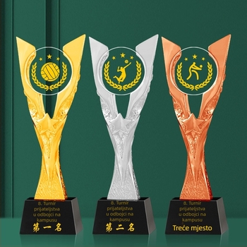 Digitalni kristalni trofej za natjecanje u zraku odbojka – timska nagrada s memorijskim certifikatom