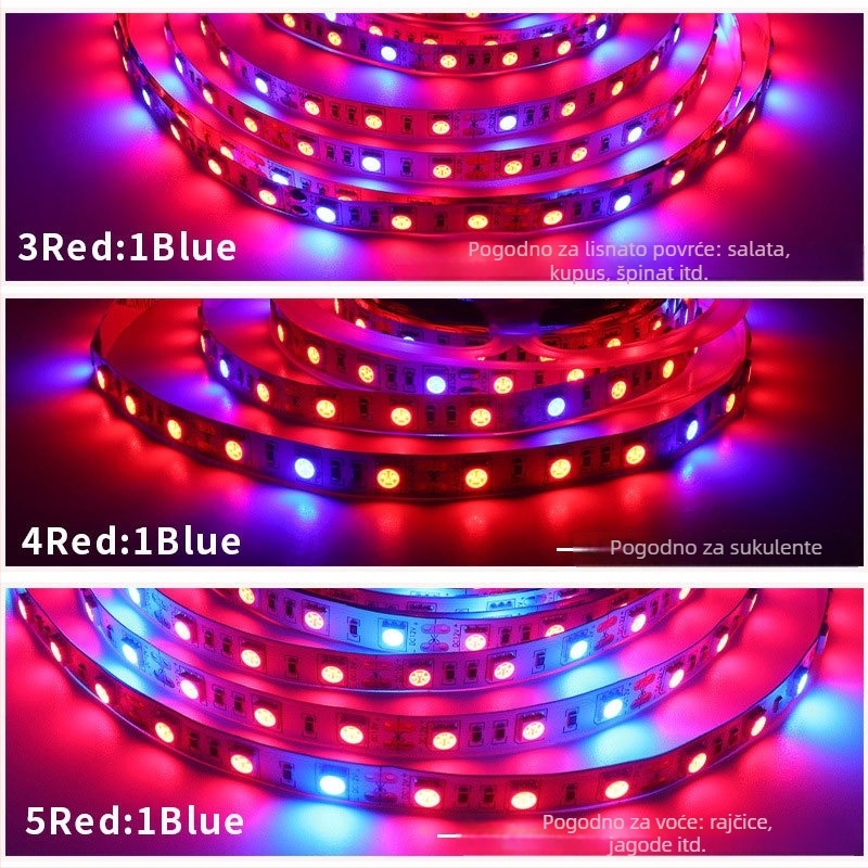 LED trakica za rast biljaka, 60×5050 LED, 12V/24V, visoka svjetlost, CRI 90, 7-14W, podesiva svjetlost, nije vodootporna, ugao zračenja 150°, Sanken LED, USB 5V pomoćno svjetlo, duljina 5 m