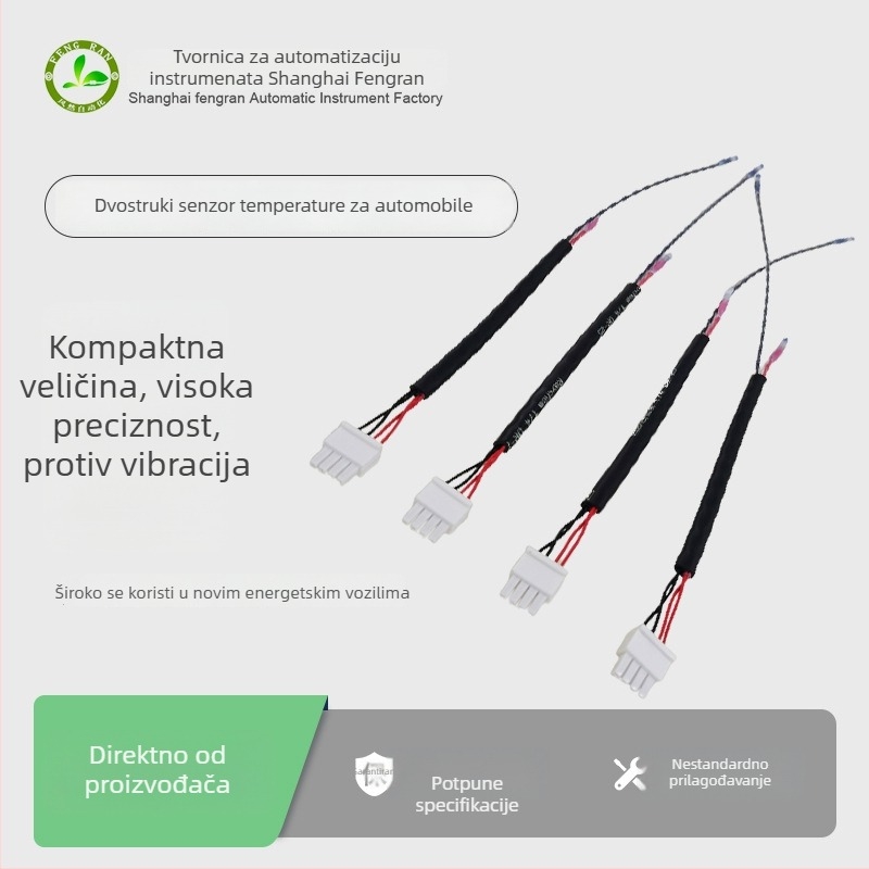 T29 RTD temperaturna sonda za motore električnih vozila, dvostrana, potopna instalacija