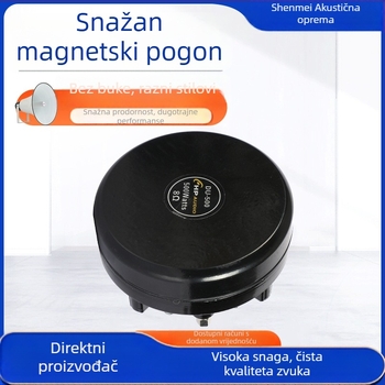 8 Ω 500 W visokoučinkoviti magnetski pogon rožni visokotonac za pozornicu