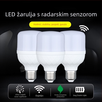 LED svjetiljka za hodnik s radarom detekcije pokreta, E27, 220V, 300 lm, 180° snop