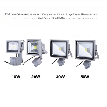 LED reflektor s detekcijom pokreta za vanjsku uporabu, 12–48V, pogodan za zidove, dvorišta i tunele, 10–100W